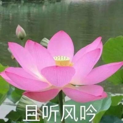 【境内疫情观察】云南省瑞丽市新增6例本土病例（3月30日）